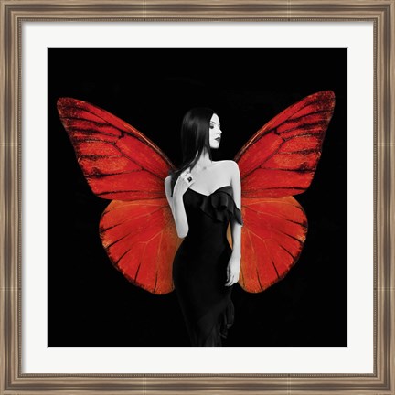 Framed Winged Beauty #2 Print