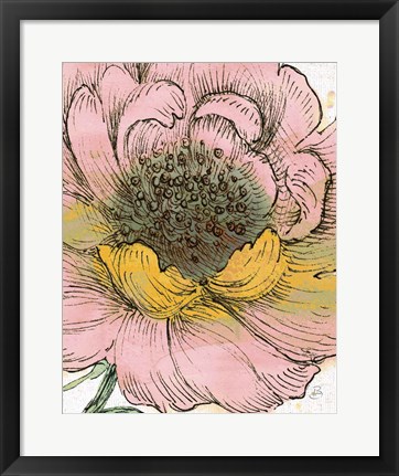 Framed Blossom Sketches III Pink Crop Print