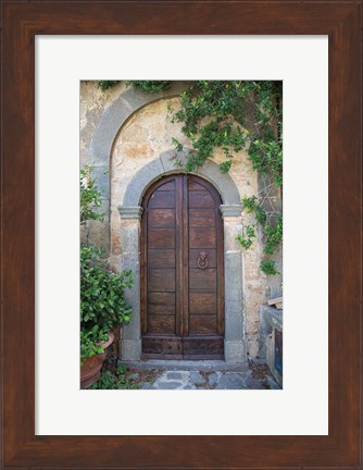 Framed Venice Doorway Print