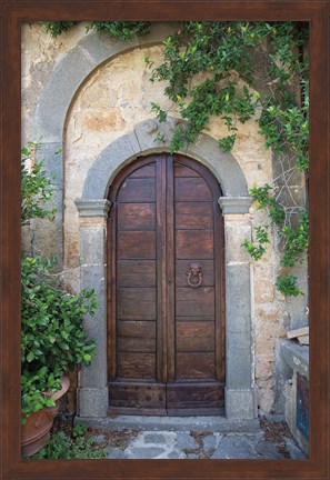 Framed Venice Doorway Print