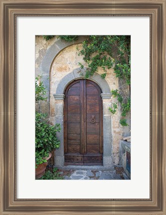 Framed Venice Doorway Print