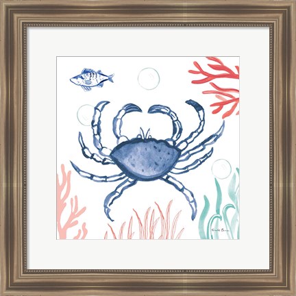 Framed Coastal Jewels V Coral Cove Print