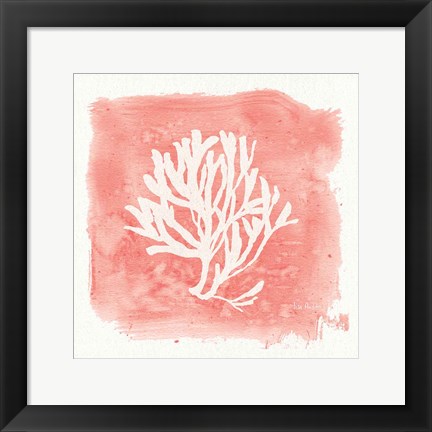 Framed Water Coral Cove III Print