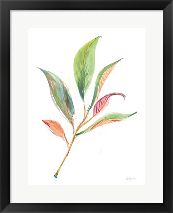 Framed Washy Leaves II Print