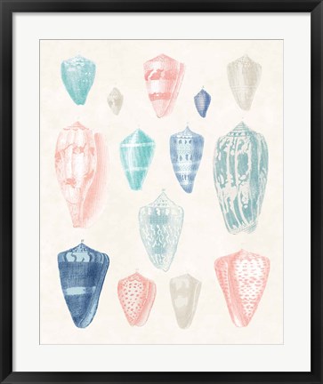 Framed Colorful Shell Assortment I Coral Cove Print