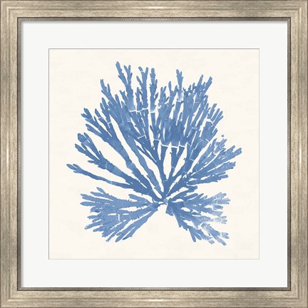 Framed Pacific Sea Mosses II Light Blue Print