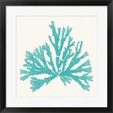 Framed Pacific Sea Mosses IV Aqua Print