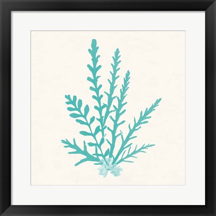 Framed Pacific Sea Mosses III Aqua Print