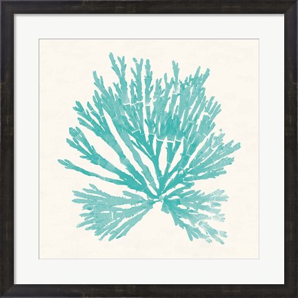 Framed Pacific Sea Mosses II Aqua Print