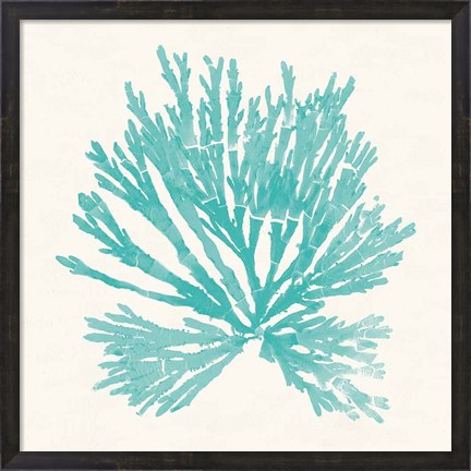 Framed Pacific Sea Mosses II Aqua Print