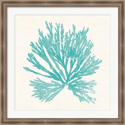 Framed Pacific Sea Mosses II Aqua Print