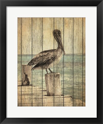 Framed Vintage Pelican I Print