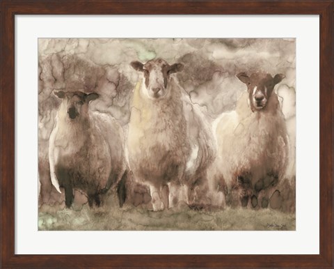 Framed Three Sheep Print