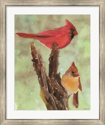 Framed Cardinal 1 Print