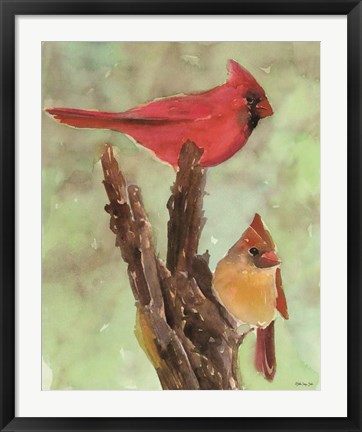 Framed Cardinal 1 Print