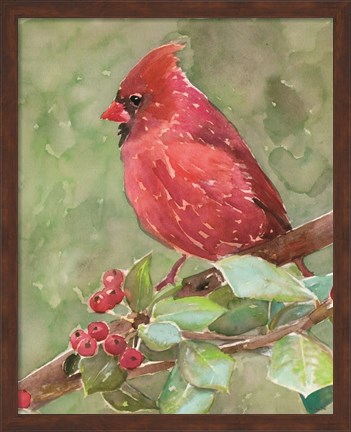 Framed Cardinal 2 Print