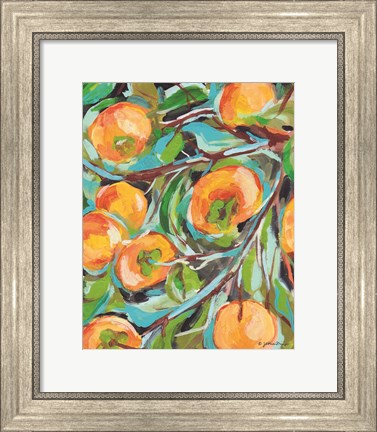 Framed Persimmon Print