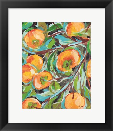 Framed Persimmon Print