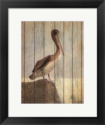 Framed Vintage Pelican II Print