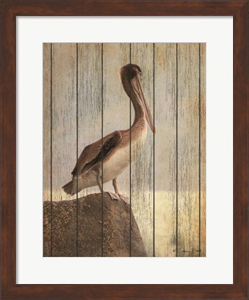 Framed Vintage Pelican II Print