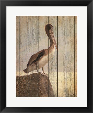 Framed Vintage Pelican II Print