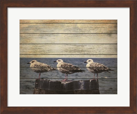 Framed Vintage Seagulls Print