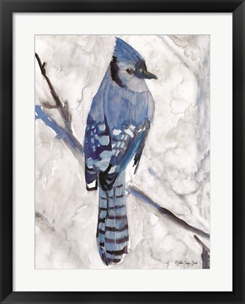 Framed Blue Jay 1 Print