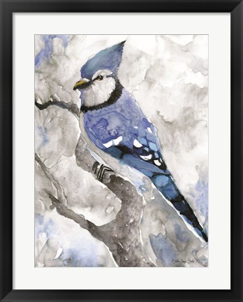 Framed Blue Jay 2 Print