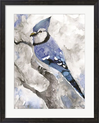 Framed Blue Jay 2 Print