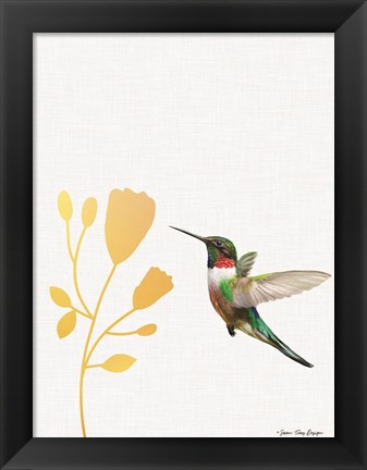 Framed Hummingbird and the Flower Print