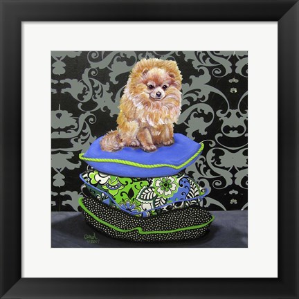 Framed Pomeranian Pillows Print