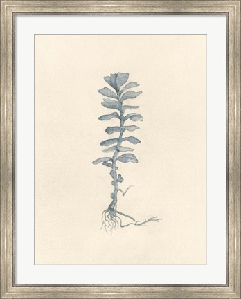 Framed Uprooted I Print