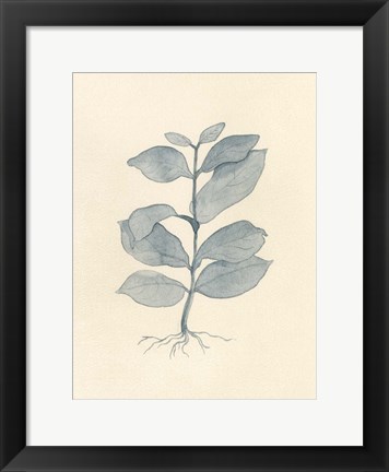 Framed Uprooted II Print