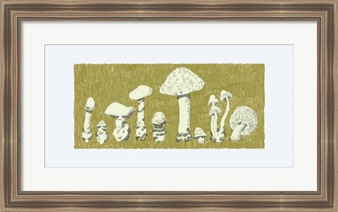 Framed Forest Fungi II Print