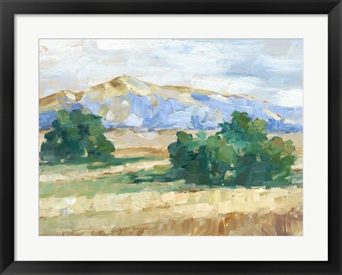 Framed Sunny Field II Print