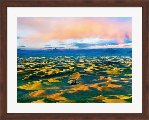 Framed Farmscape Photo II Print