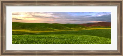 Framed Farmscape Panorama VI Print