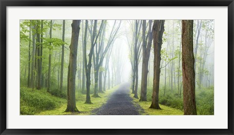 Framed Country Road Photo VIII Print