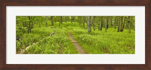 Framed Country Road Panorama VI Print