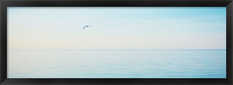 Framed Beachscape Panorama XII Print