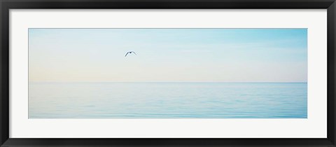 Framed Beachscape Panorama XII Print