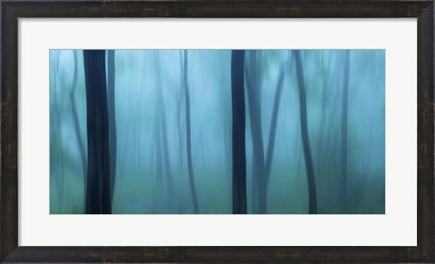 Framed Harriman Woods II Print