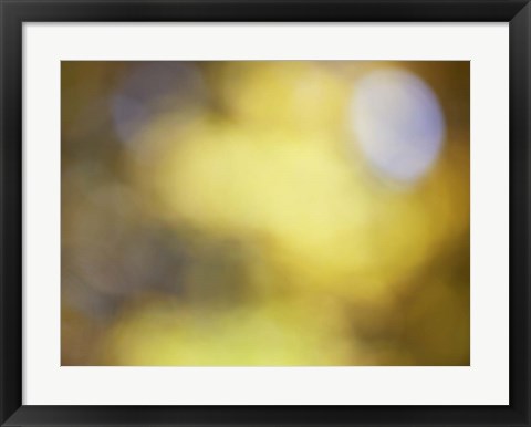 Framed Soft Landscape IV Print