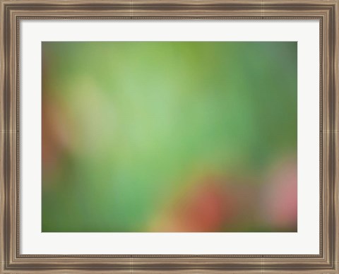 Framed Soft Landscape VIII Print