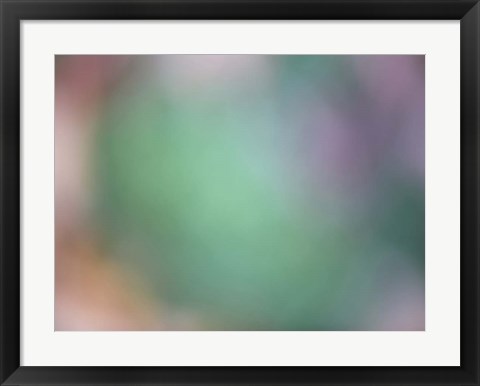 Framed Soft Landscape IX Print