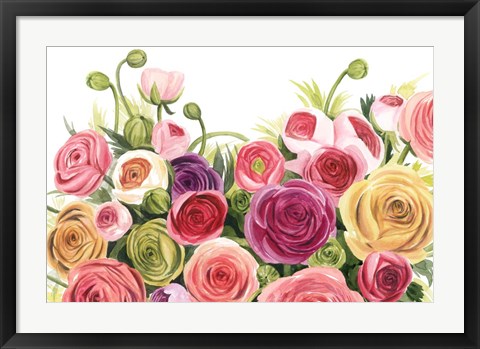 Framed Ranunculus Panorama Print