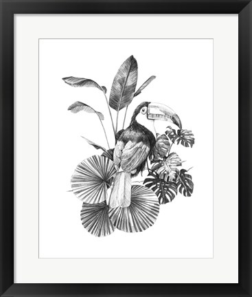 Framed Toucan Toile II Print