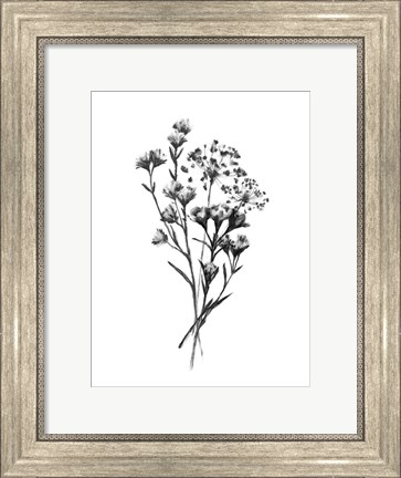 Framed Wild Roadside Bouquet III Print