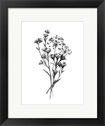 Framed Wild Roadside Bouquet III Print