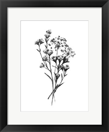 Framed Wild Roadside Bouquet III Print